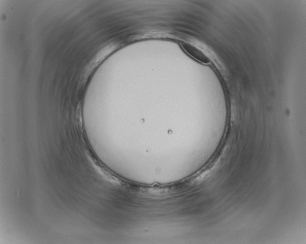 X0000075841241200610151537