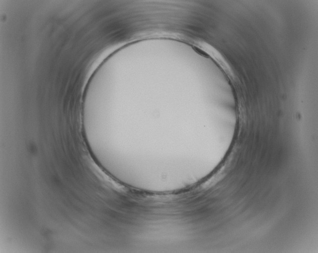 X0000075841244200610151537