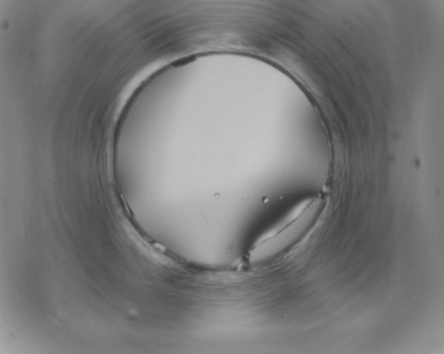 X0000075841246200610151537