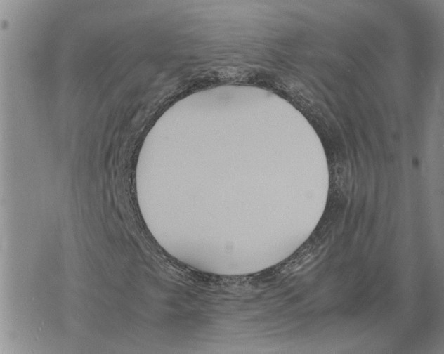 X0000075841249200610151536