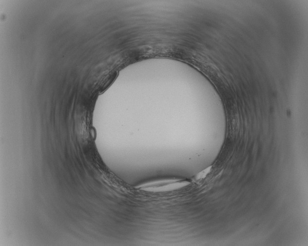 X0000075841250200610151536