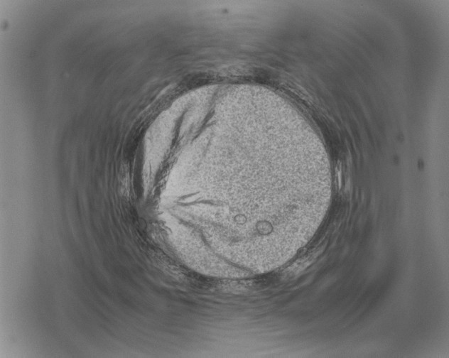 X0000075841251200610151536