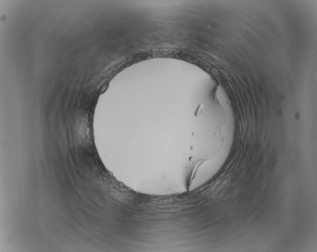 X0000075841252200610151536