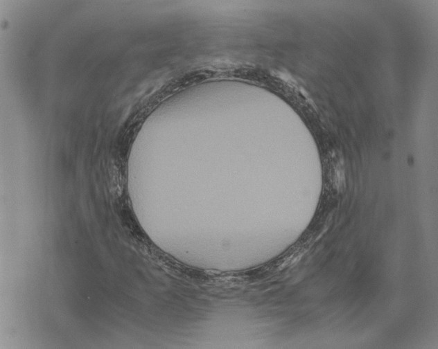 X0000075841253200610151536