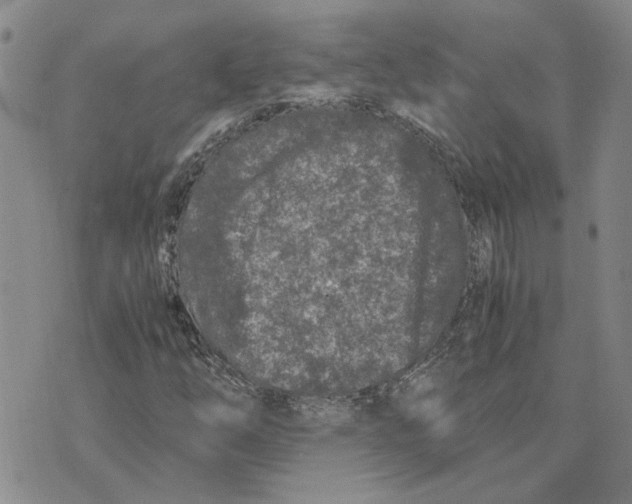 X0000075841254200610151536