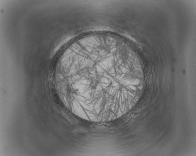 X0000075841255200610151536