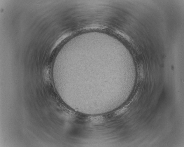 X0000075841258200610151536