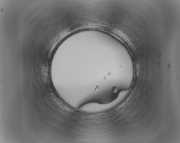 X0000075841260200610151536