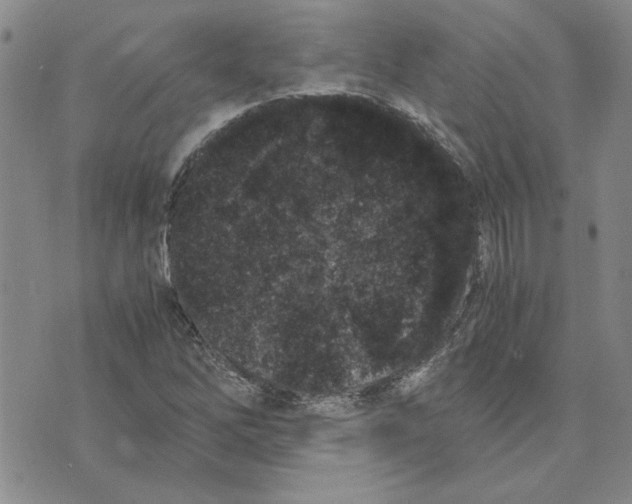 X0000075841262200610151536