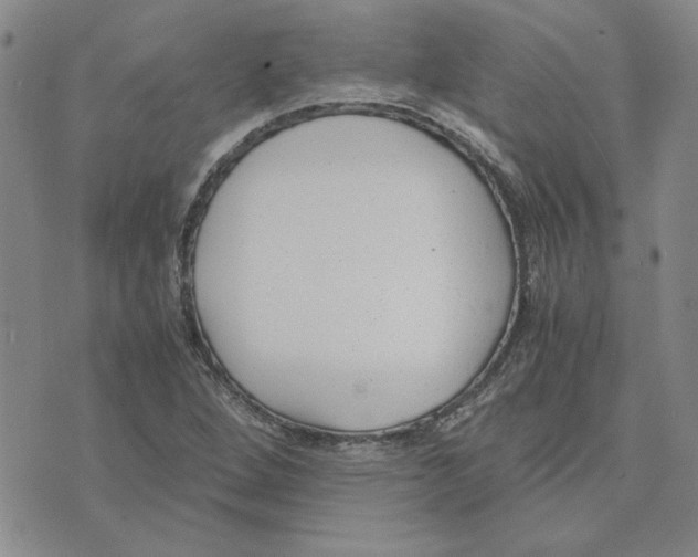 X0000075841264200610151536