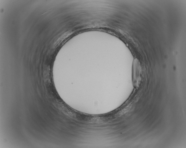 X0000075841265200610151536