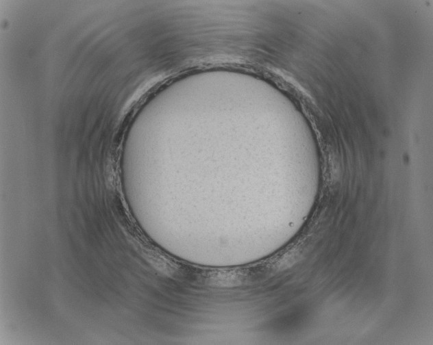 X0000075841266200610151536