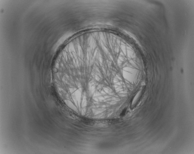 X0000075841267200610151536