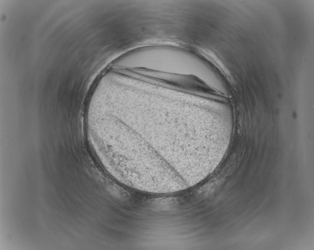 X0000075841268200610151536