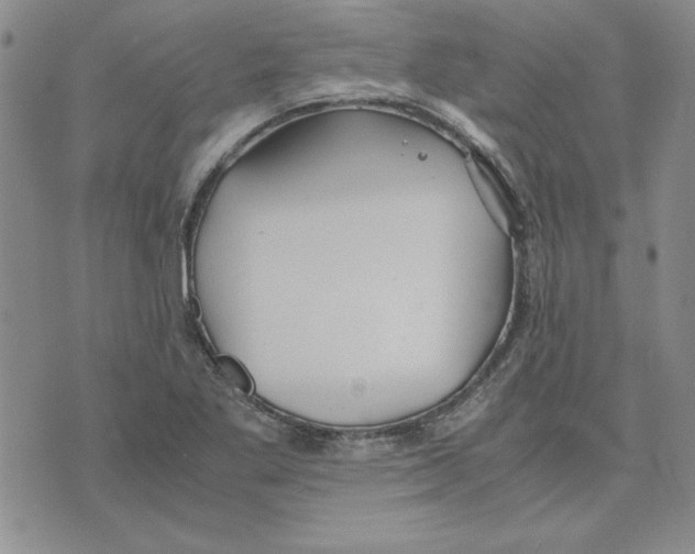 X0000075841269200610151536