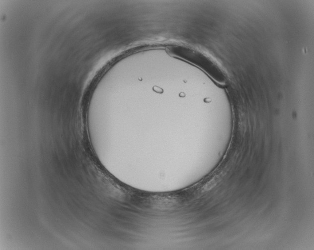 X0000075841270200610151536