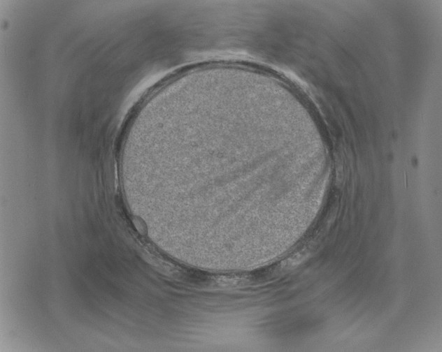 X0000075841271200610151536