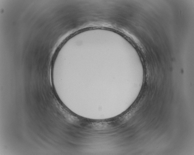 X0000075841272200610151536