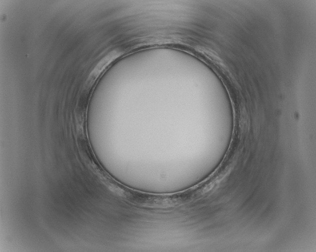 X0000075841273200610151536