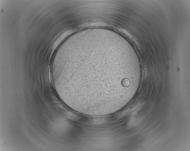 X0000075841274200610151536