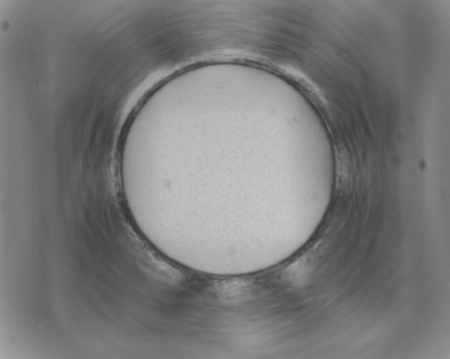 X0000075841278200610151536