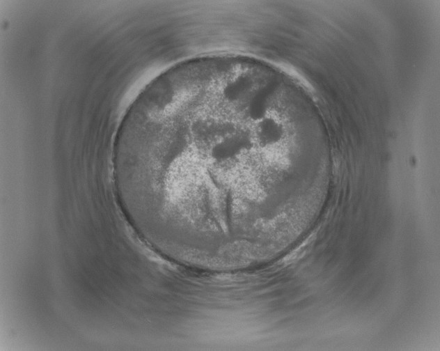 X0000075841279200610151536