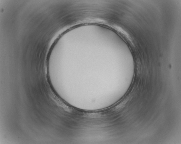 X0000075841280200610151536