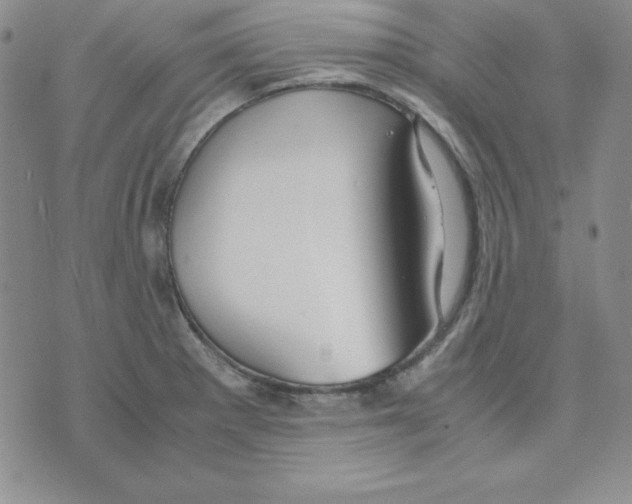 X0000075841281200610151536