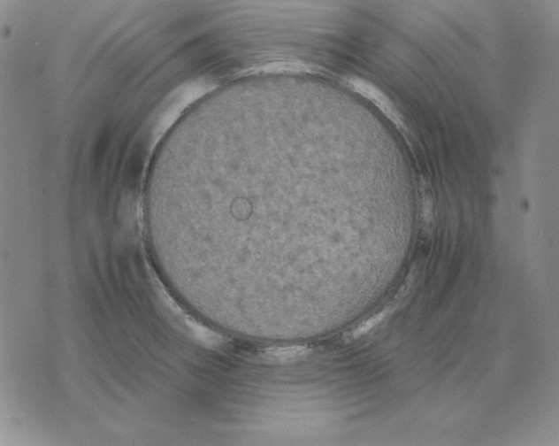 X0000075841282200610151536