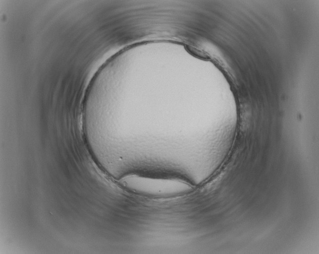 X0000075841284200610151536