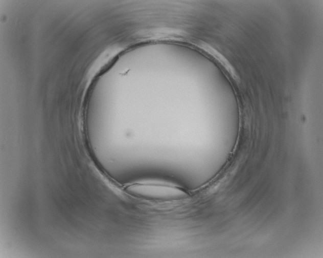 X0000075841285200610151536