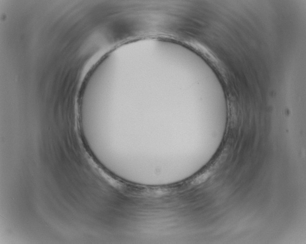 X0000075841286200610151536