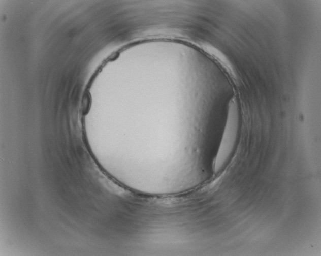 X0000075841288200610151536