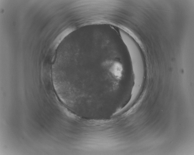 X0000075841289200610151536