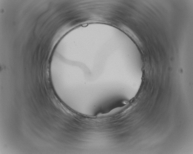 X0000075841292200610151536