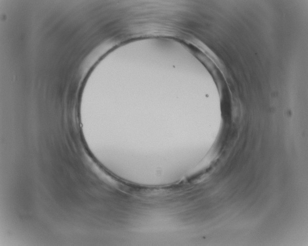 X0000075841293200610151535