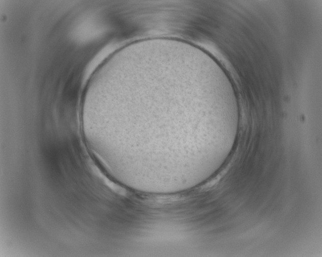 X0000075841294200610151535