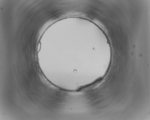 X0000075841296200610151535