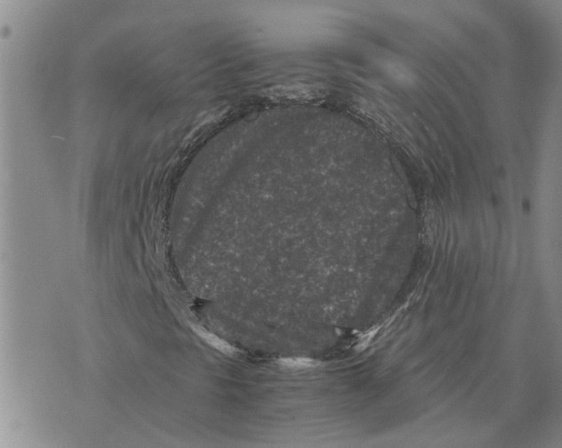 X0000075841297200610151535