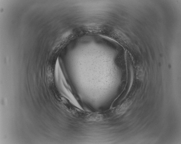 X0000075841298200610151535