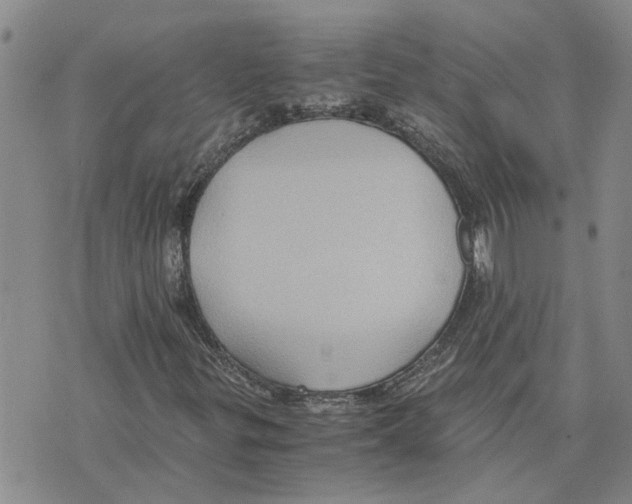 X0000075841299200610151535