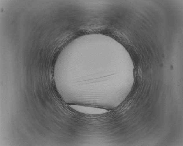 X0000075841300200610151535