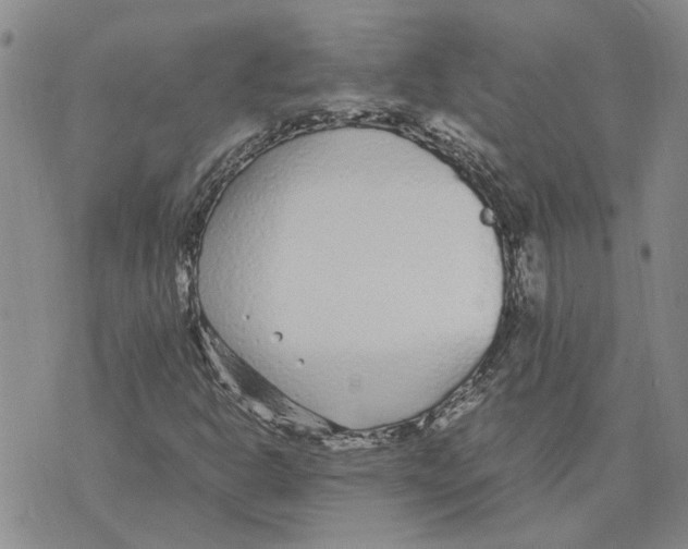 X0000075841302200610151535