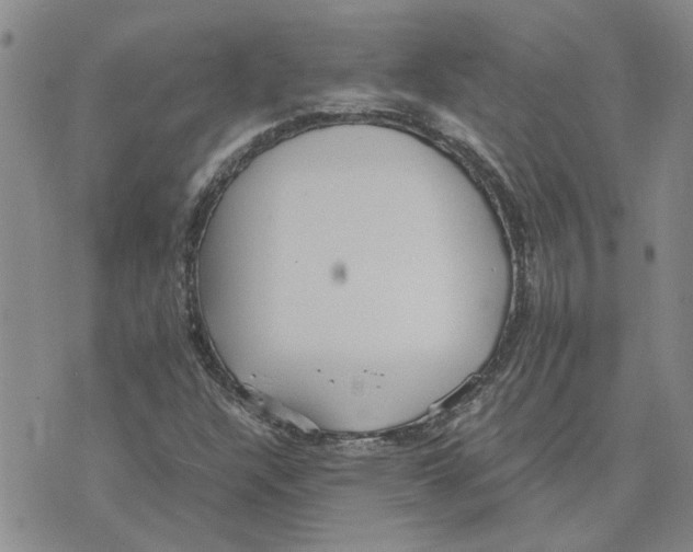 X0000075841304200610151535