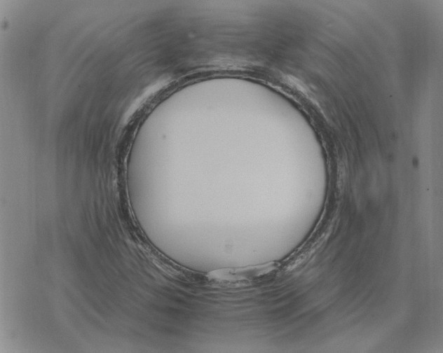 X0000075841307200610151535