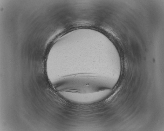 X0000075841309200610151535