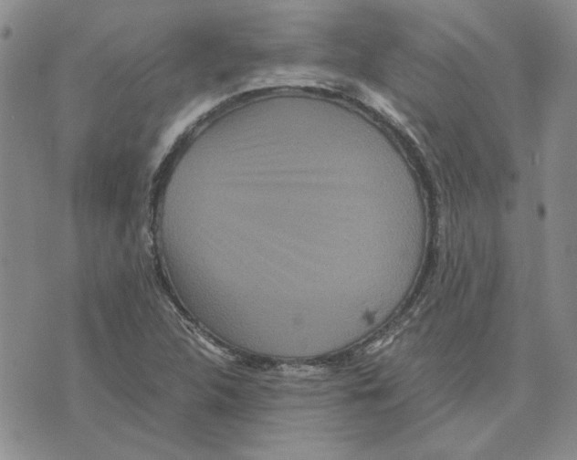 X0000075841312200610151535