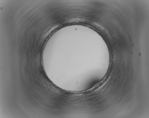 X0000075841313200610151535