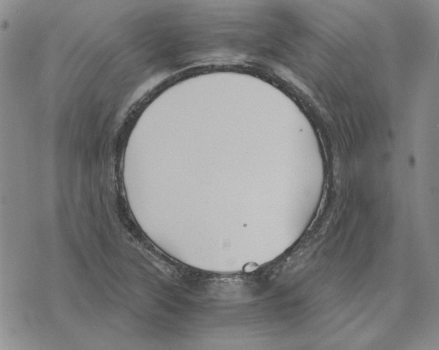 X0000075841315200610151535