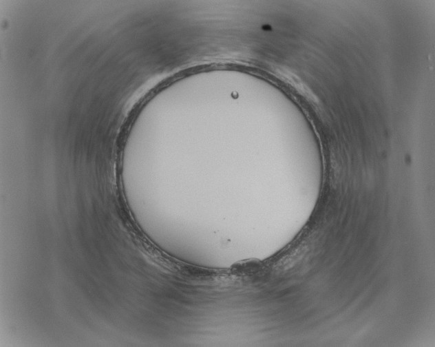 X0000075841316200610151535